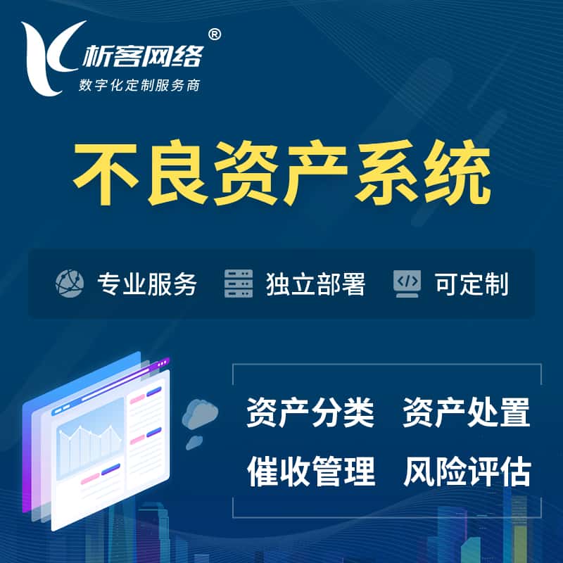 安徽不良资产管理系统