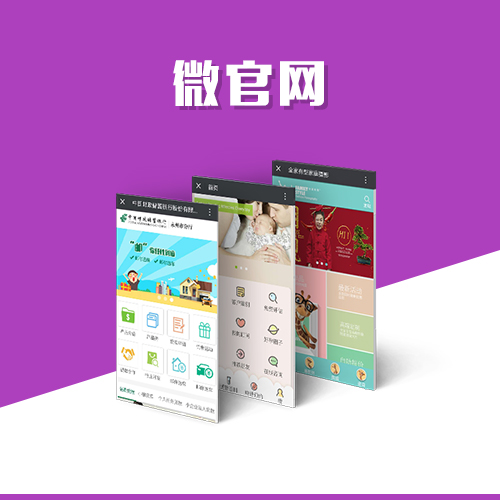 安徽国产化网站定制如何应对数据安全挑战